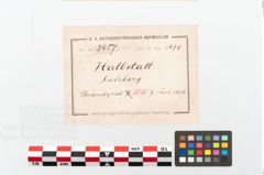 Etikett zu Tierknochen (NHMW-PRAE-003457)